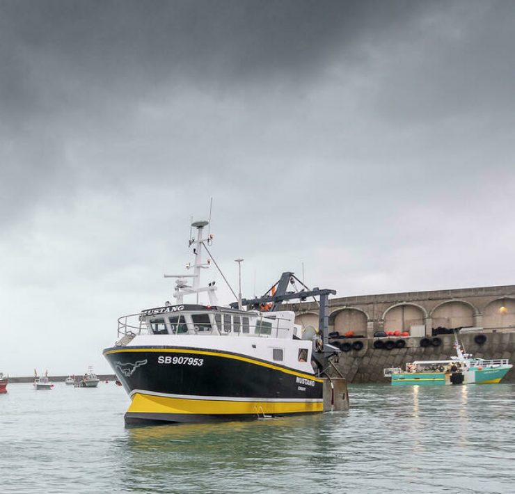 Fishing boats in a french harbour