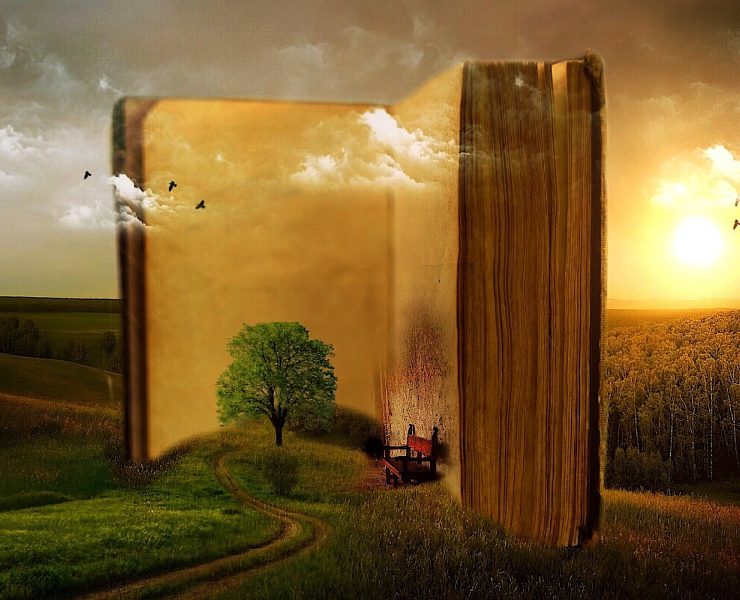 illustration of a large book in a field