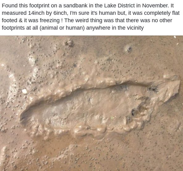 bigfoot footprint