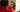 Graham Fellows dressed as John Shuttleworth looking in a mirror