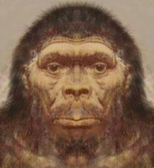 The Bigfoot creature Deborah Hatswell saw in 1982