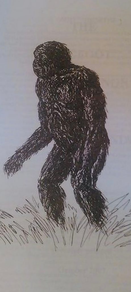 Bigfoot drawing 1994