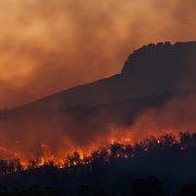 wildfires in the Australian bush