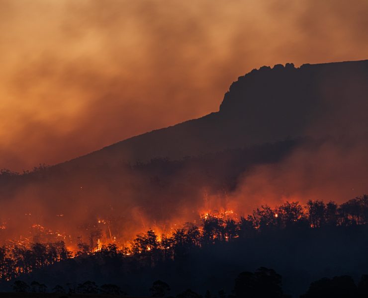wildfires in the Australian bush