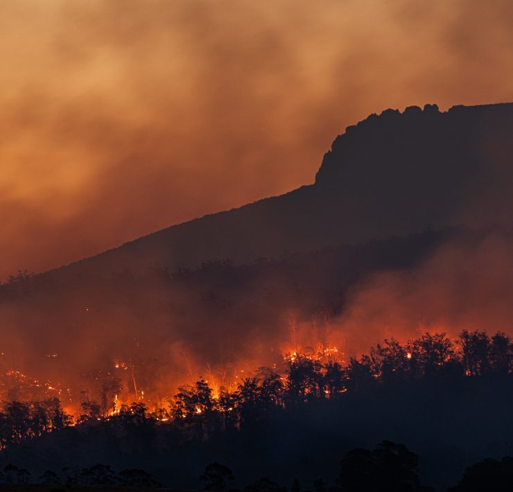 wildfires in the Australian bush