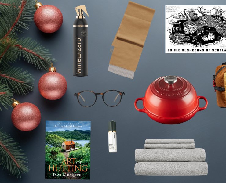 Christmas gift inspiration 2023 image the malestrom