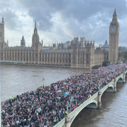 anti war protesters in London 11th November 2023