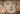 Donald Trump's face with us flag behind