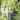 Aldo Kane stood in the woods