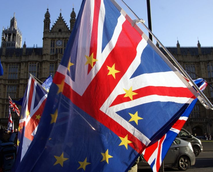 Brexit demonstration flags outside parliament
