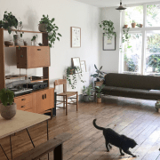 Stylish London apartment filled with houseplants