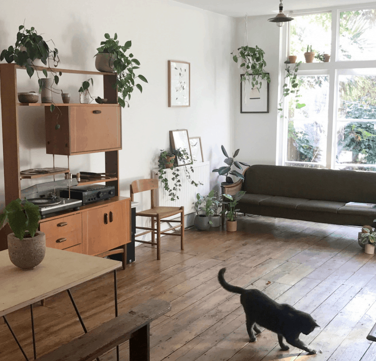 Stylish London apartment filled with houseplants