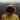 A man standing in the mountains with a fur hood covering his face