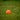 Orange ball on football pitch