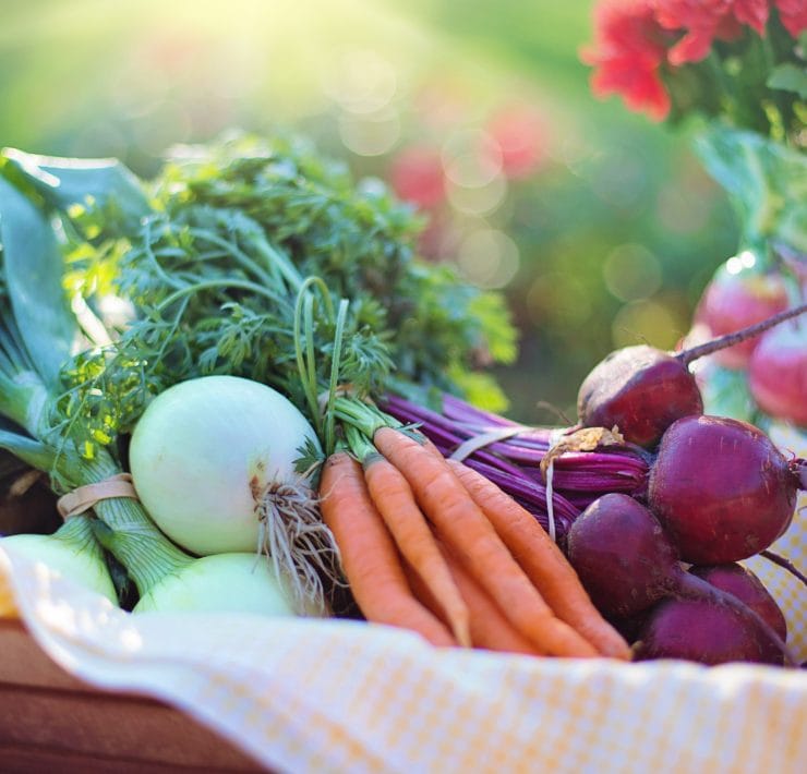 A basket full of vegetables, carrots, red onions