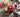 Christmas drinks on a wooden table