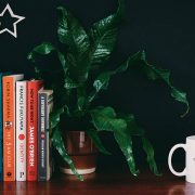 Books on a shelf for The MALESTROM's Christmas books gift guide