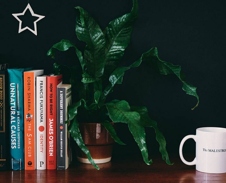 Books on a shelf for The MALESTROM's Christmas books gift guide