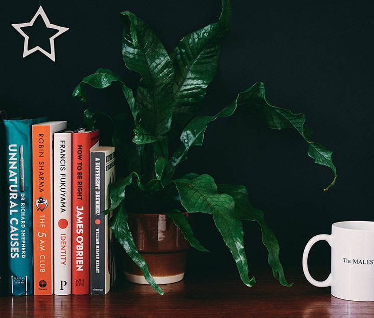 Books on a shelf for The MALESTROM's Christmas books gift guide