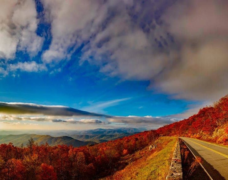 An autumnal blue sky over woodland