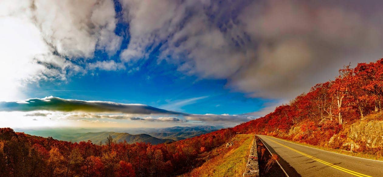 An autumnal blue sky over woodland